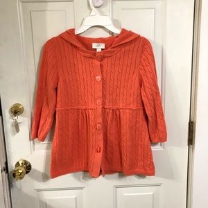 Ann Taylor loft sweater